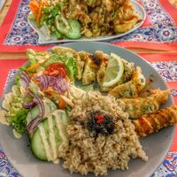  at TerraZen Centre in Amsterdam