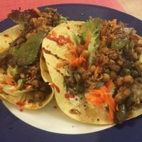 Bio tacos  at TerraZen Centre in Amsterdam