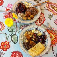 amazing homemade plates with vegan 'chicken', tofu, azuki beans, 'roti' (sort of pancakes), tempeh, brown rice and vegetables. at TerraZen Centre in Amsterdam