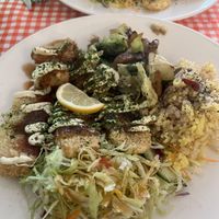   at TerraZen Centre in Amsterdam