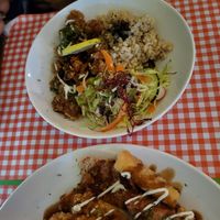  at TerraZen Centre in Amsterdam