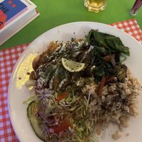   at TerraZen Centre in Amsterdam