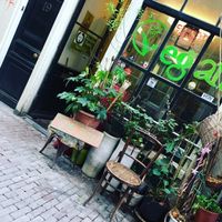 the place at TerraZen Centre in Amsterdam