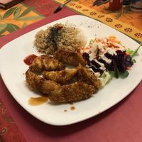 Vegan gyozas at TerraZen Centre in Amsterdam