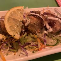 The Fried”ChickN"  at TerraZen Centre in Amsterdam