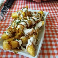  at TerraZen Centre in Amsterdam