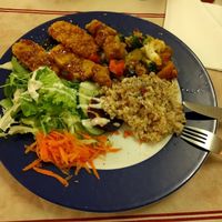 the Vegan Plate at TerraZen Centre in Amsterdam