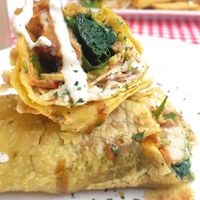 Roti wrap at TerraZen Centre in Amsterdam