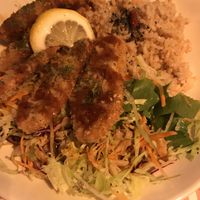   at TerraZen Centre in Amsterdam