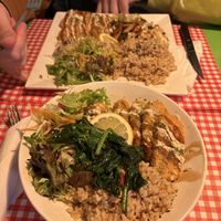   at TerraZen Centre in Amsterdam