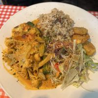   at TerraZen Centre in Amsterdam