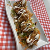   at TerraZen Centre in Amsterdam