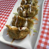   at TerraZen Centre in Amsterdam