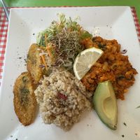   at TerraZen Centre in Amsterdam