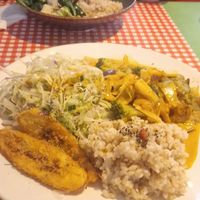  at TerraZen Centre in Amsterdam