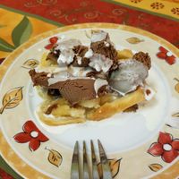 warm Apple pie with ice cream at TerraZen Centre in Amsterdam