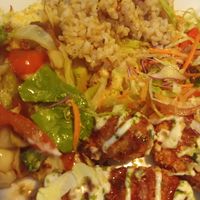  at TerraZen Centre in Amsterdam