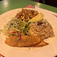   at TerraZen Centre in Amsterdam