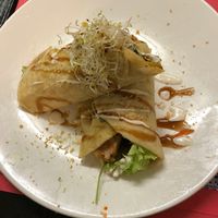 Crispy Roti Wrap at TerraZen Centre in Amsterdam