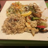   at TerraZen Centre in Amsterdam