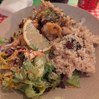 Karaage domburi with vegan chicken at TerraZen Centre in Amsterdam