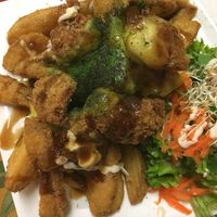 Chicken and fries  at TerraZen Centre in Amsterdam