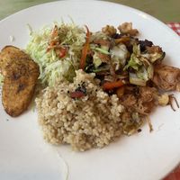 Saltfish  at TerraZen Centre in Amsterdam