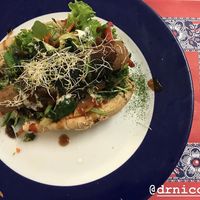 Non dog at TerraZen Centre in Amsterdam