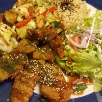 Vegan plate. Soy based chicken nuggets, chicken strips, rice, stir fried veggies at TerraZen Centre in Amsterdam