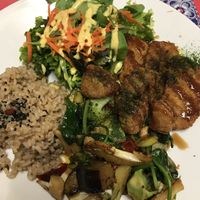 vegan plate €16 at TerraZen Centre in Amsterdam