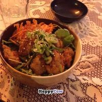 Vegan chicken katsu bowl at TerraZen Centre in Amsterdam