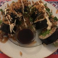 Dragon roll  at TerraZen Centre in Amsterdam