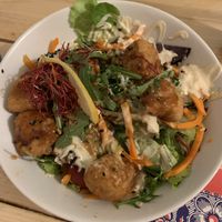 Donburi Karage- very fatty- no flavour but fat- very expensive  at TerraZen Centre in Amsterdam