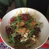 Karage donburi at TerraZen Centre in Amsterdam