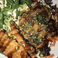 Delicious donkatsu dish. Tasted very authentic with a ton of asian flavors  at TerraZen Centre in Amsterdam