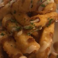 Tera Fries at TerraZen Centre in Amsterdam