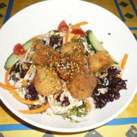Karage Donburi at TerraZen Centre in Amsterdam