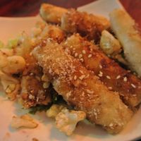 TerraZen Centre at TerraZen Centre in Amsterdam