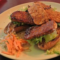 TerraZen Centre at TerraZen Centre in Amsterdam