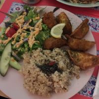 Gyoza plate at TerraZen Centre in Amsterdam