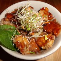 Bowl of rice and vegan chicken at TerraZen Centre in Amsterdam