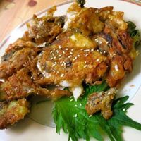 Tempura at TerraZen Centre in Amsterdam