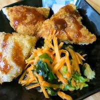 Samosa at TerraZen Centre in Amsterdam