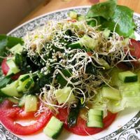Seaweed Salad at TerraZen Centre in Amsterdam