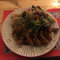 Gyoza  at TerraZen Centre in Amsterdam