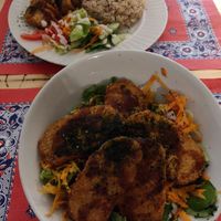 Gyoza plate and Rice bowl with marinated tempeh 😍 at TerraZen Centre in Amsterdam