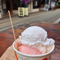  at Rollickin Gelato Cafe in Christchurch