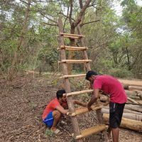 Building a new ladder for the huts! at Sadhana Forest Seva Kitchen in Auroville