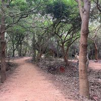  at Sadhana Forest Seva Kitchen in Auroville
