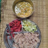 Lunch at Sadhana Forest Seva Kitchen in Auroville